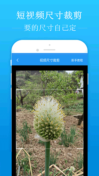 瑞安航空：若波音涨价将考虑中国飞机