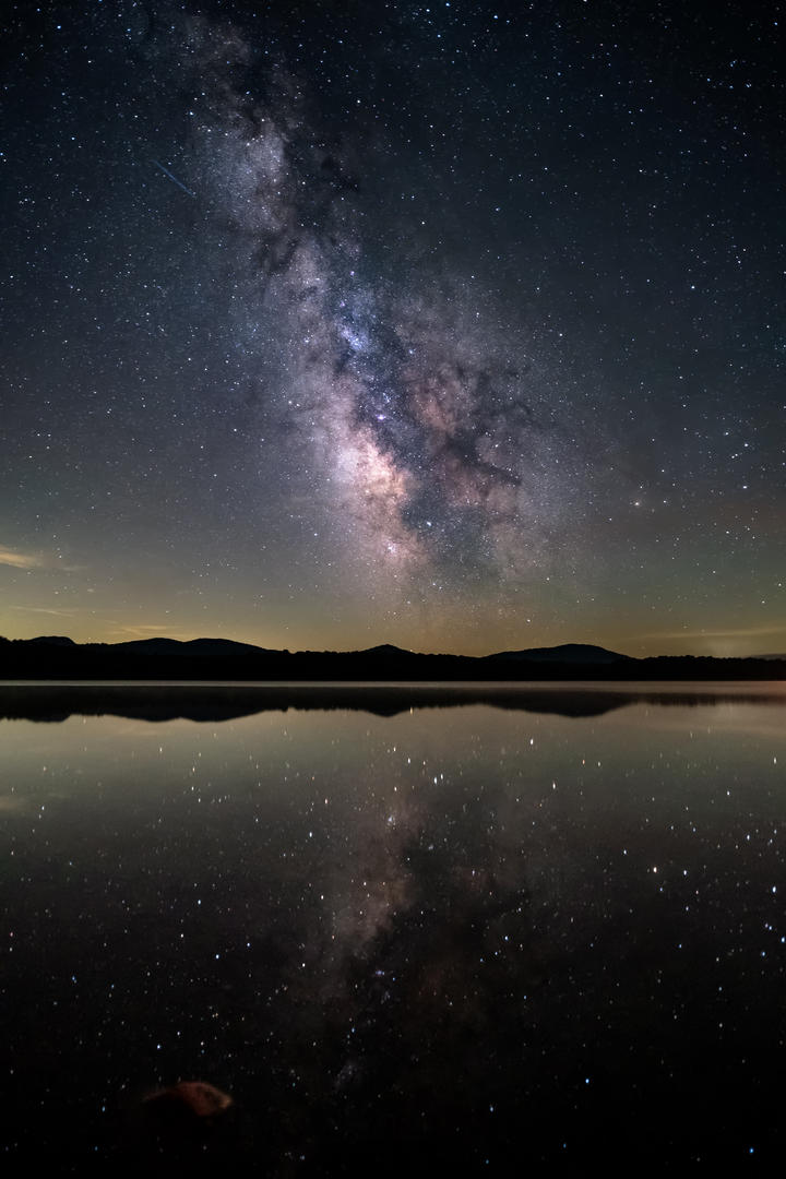 知道白月梵星为什么中午播了